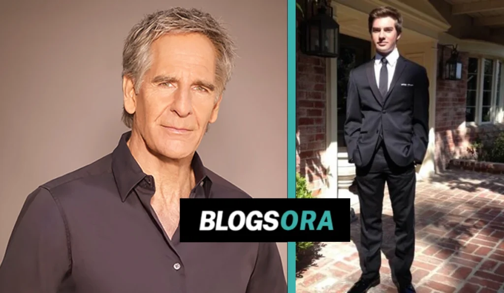 Wil Bakula: Scott Bakula’s Son Who Chose Synths Over Stardom Wil Bakula: Scott Bakula's Son Who Chose Synths Over Stardom