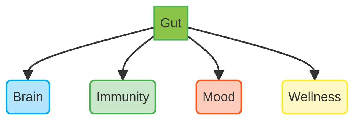 Gut health connection diagram showing digestive system impact on brain, immunity, mood and overall wellness